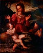 Andrea del Sarto Madonna and Child with St oil painting artist